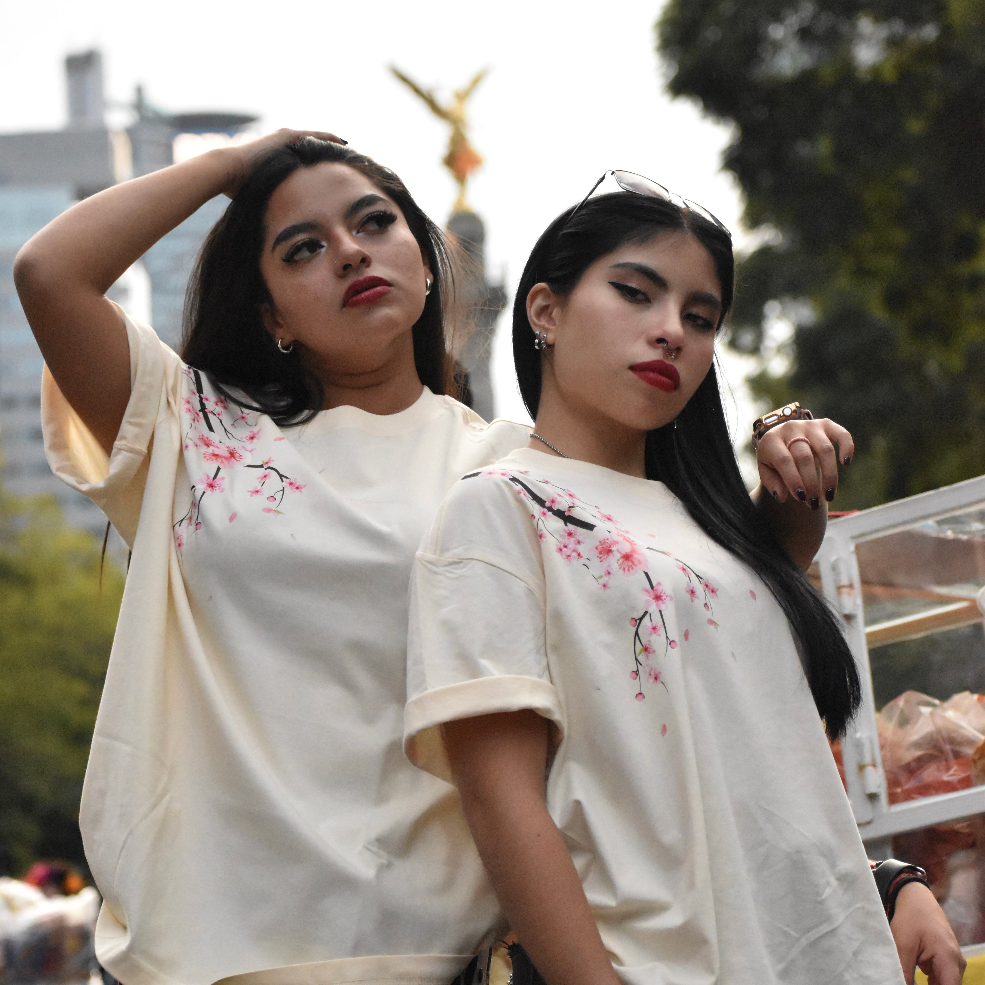 The Season Where I Met You